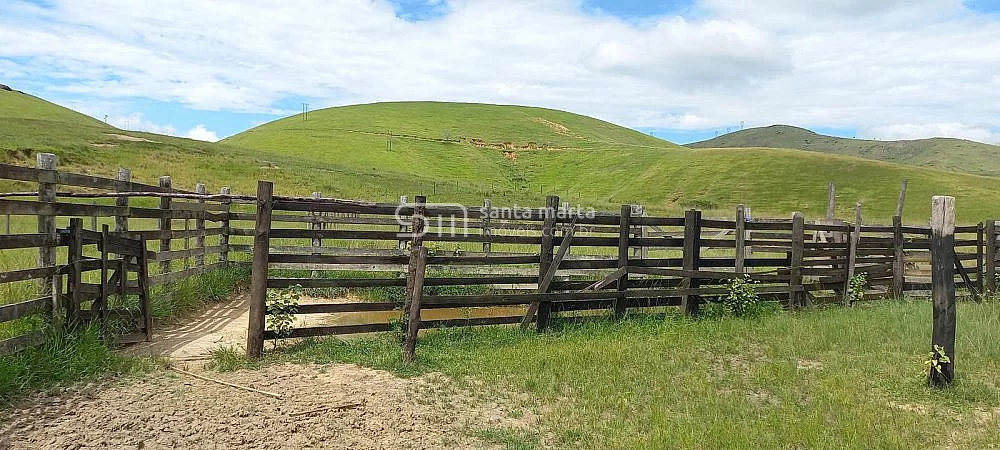 Fazenda, 911 hectares - Foto 61