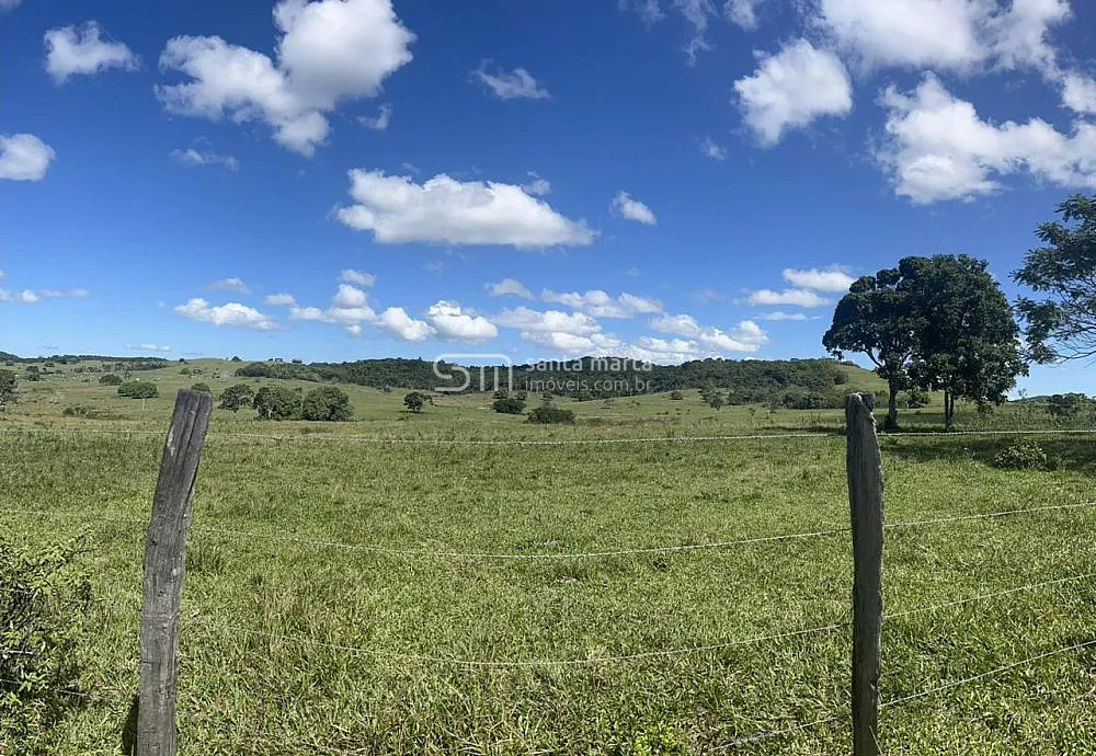 Fazenda, 252 hectares - Foto 29