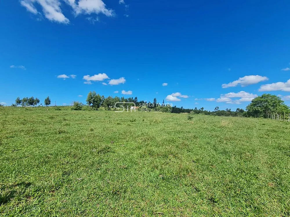 Fazenda, 252 hectares - Foto 38