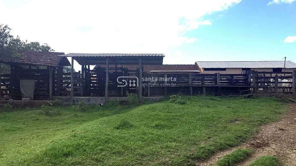 Fazenda, 252 hectares - Foto 19