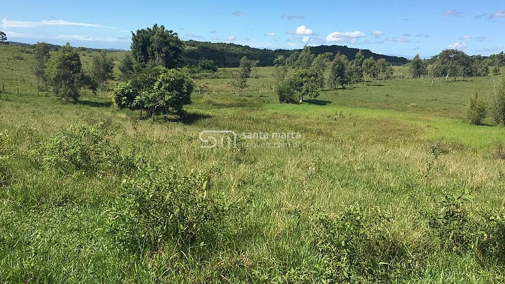 Fazenda, 252 hectares - Foto 23