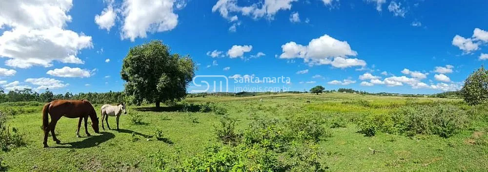Fazenda, 252 hectares - Foto 13