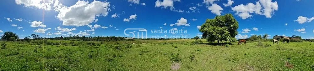 Fazenda, 252 hectares - Foto 10
