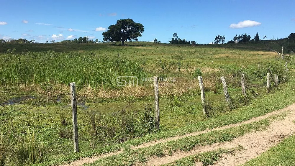 Fazenda, 252 hectares - Foto 31