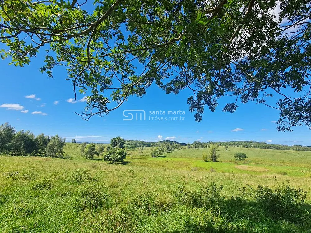 Fazenda, 252 hectares - Foto 12