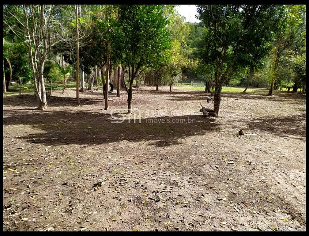 Sítio, 2 quartos, 500 m² - Foto 1