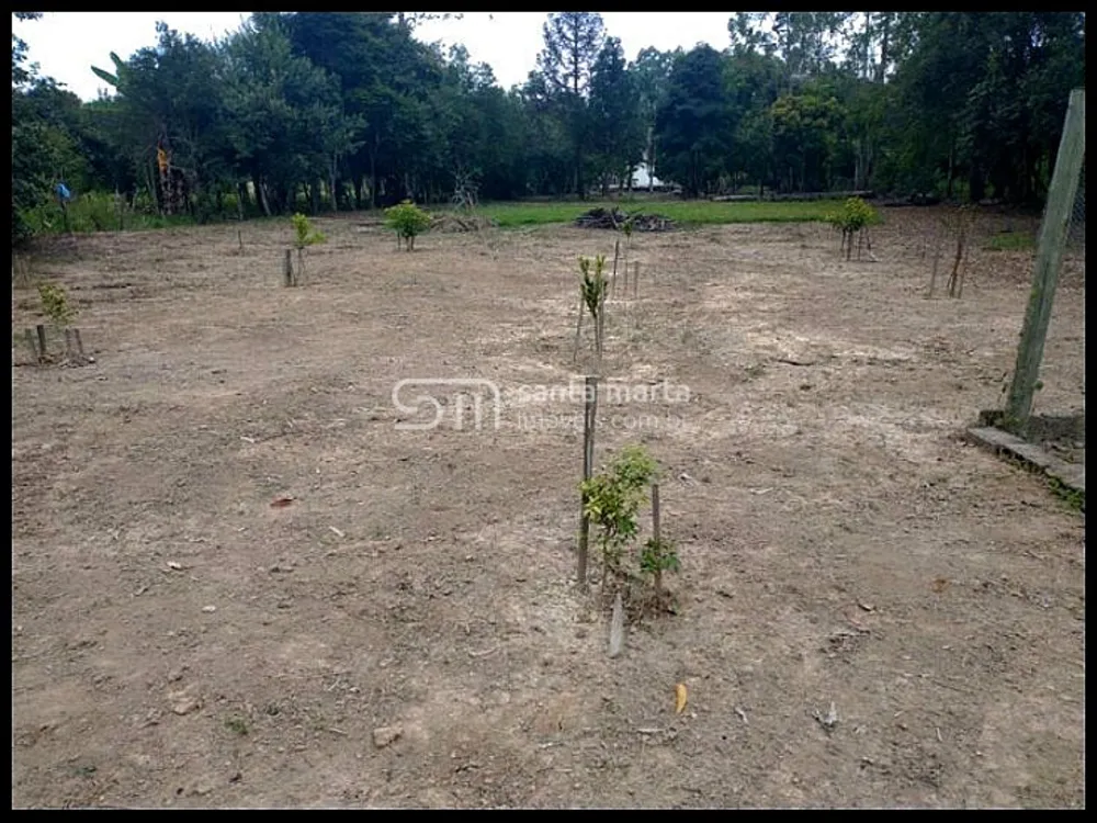 Chácara, 2 quartos, 500 m² - Foto 3