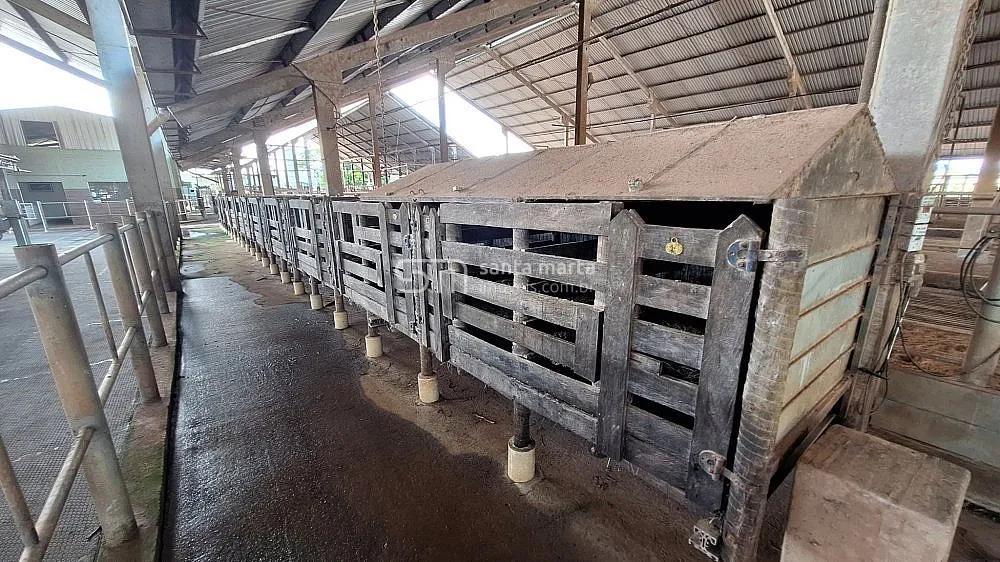 Fazenda, 160 hectares - Foto 3