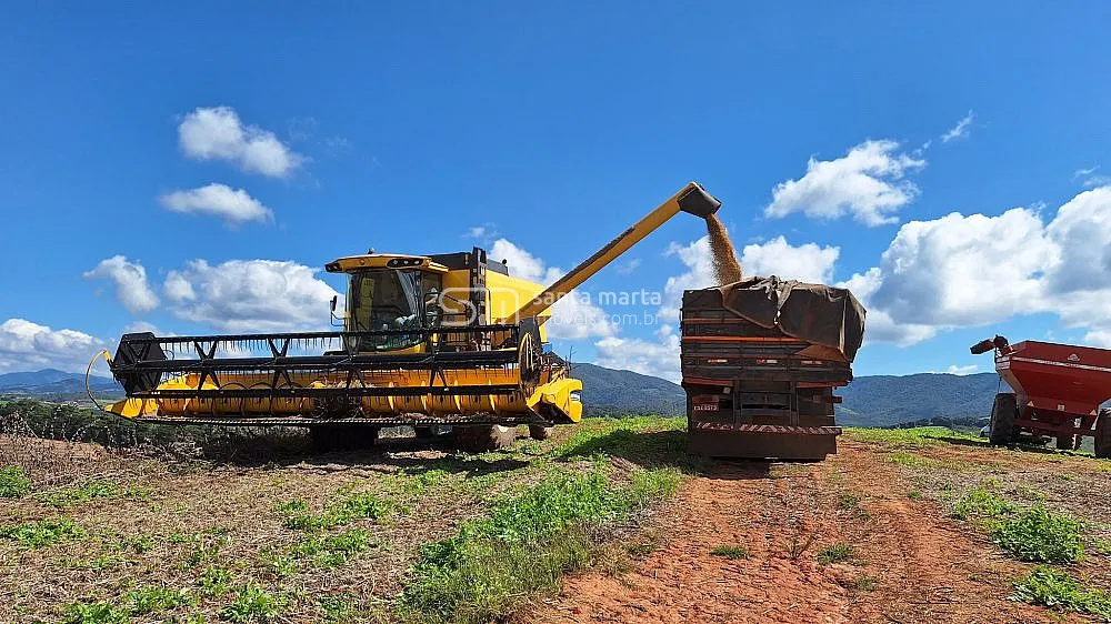 Fazenda, 160 hectares - Foto 7