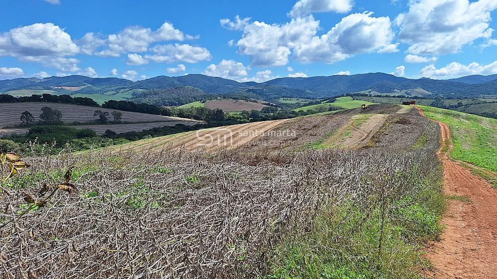 Fazenda, 160 hectares - Foto 8
