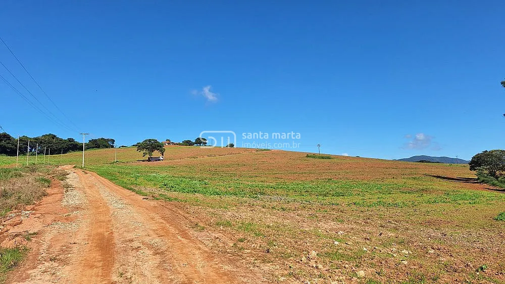 Fazenda, 160 hectares - Foto 1