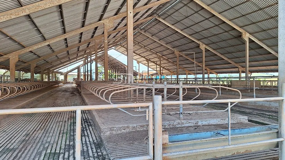 Fazenda, 160 hectares - Foto 4
