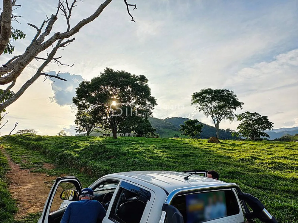 Fazenda, 218 hectares - Foto 8
