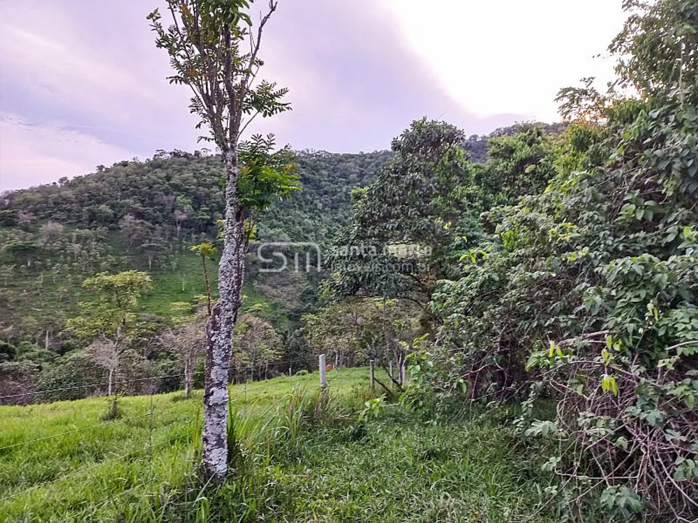 Fazenda, 218 hectares - Foto 14