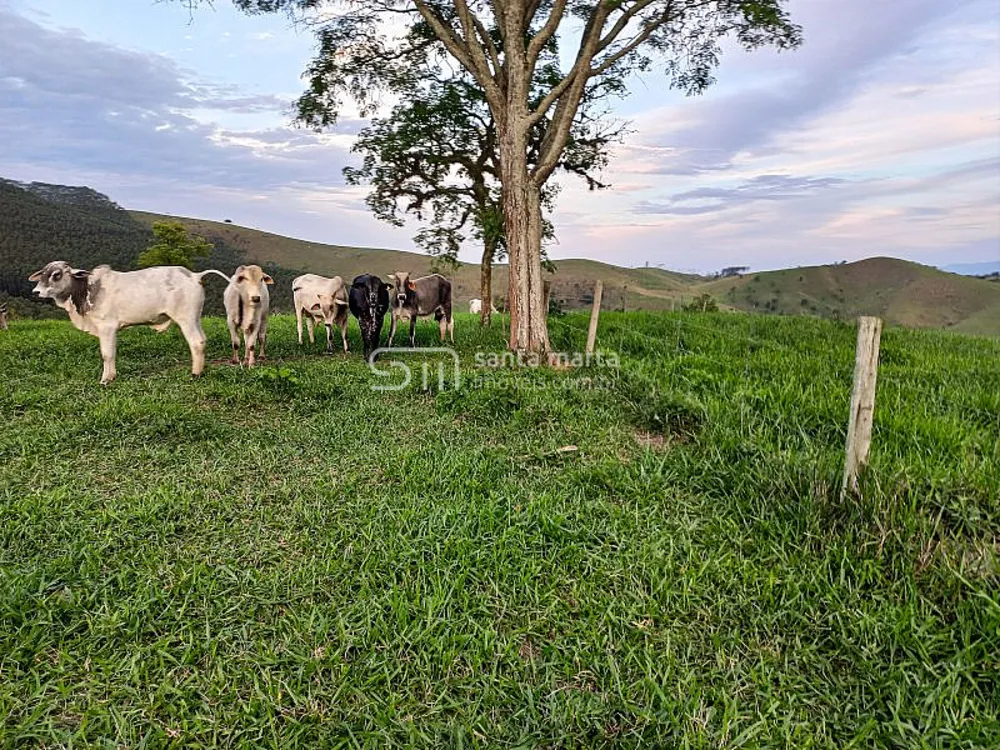 Fazenda, 218 hectares - Foto 1