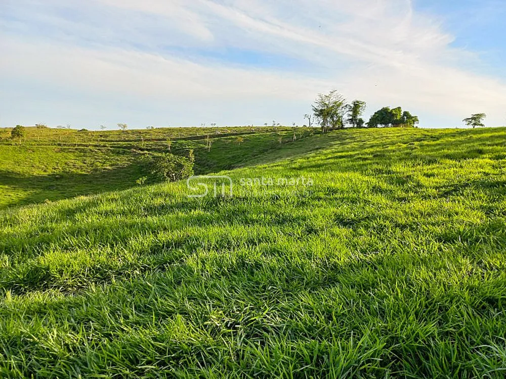 Fazenda, 218 hectares - Foto 2