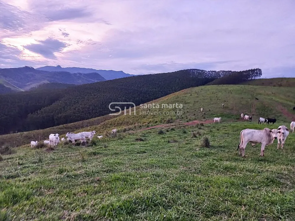 Fazenda, 218 hectares - Foto 3