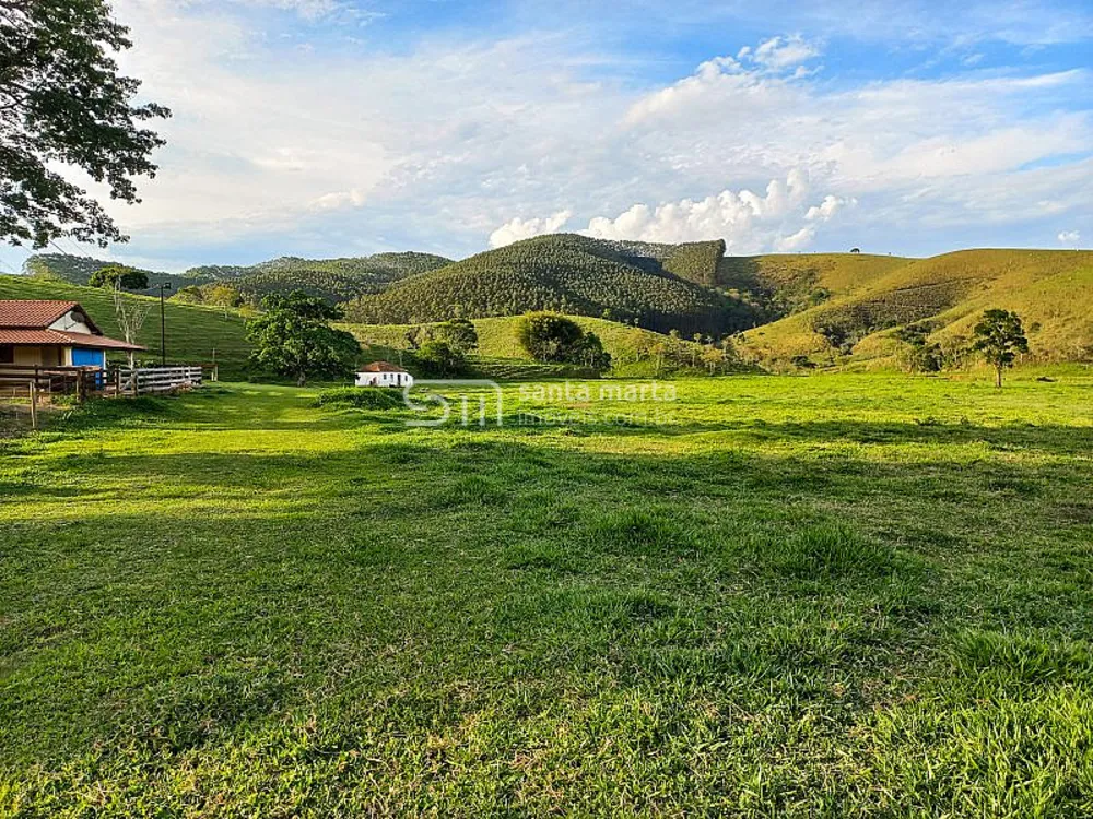 Fazenda, 218 hectares - Foto 7
