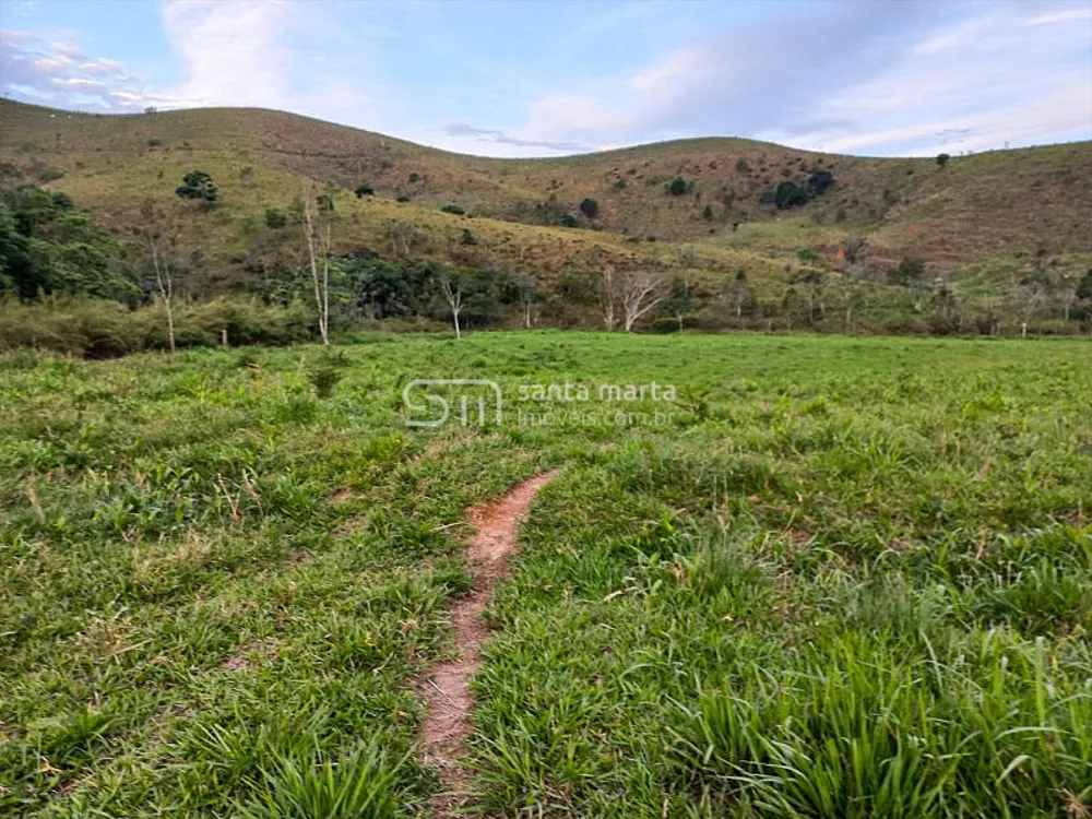 Fazenda, 218 hectares - Foto 4