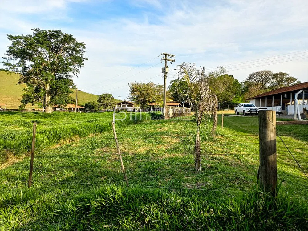 Fazenda, 218 hectares - Foto 13