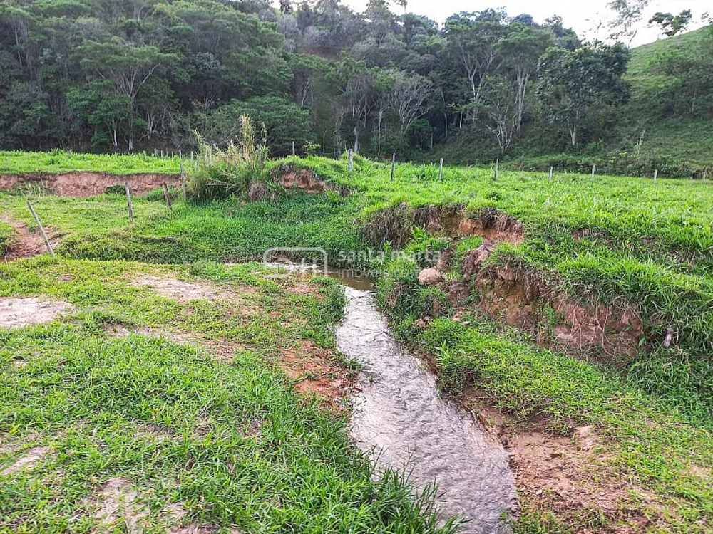 Fazenda, 218 hectares - Foto 12