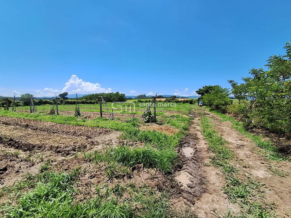 Terreno, 3750 m² - Foto 4