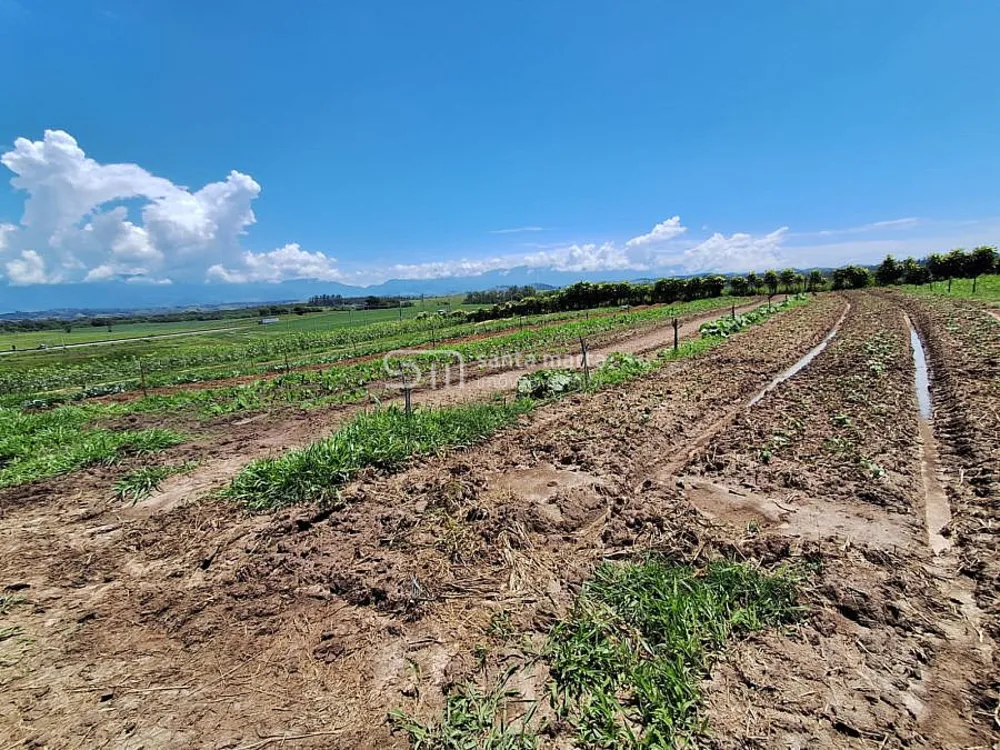Terreno, 3750 m² - Foto 4