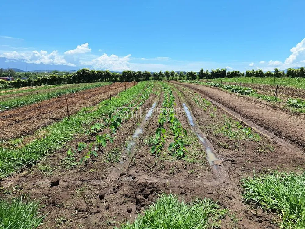 Terreno, 3750 m² - Foto 1