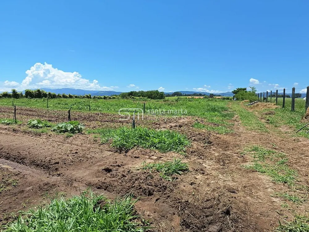 Terreno, 3750 m² - Foto 5