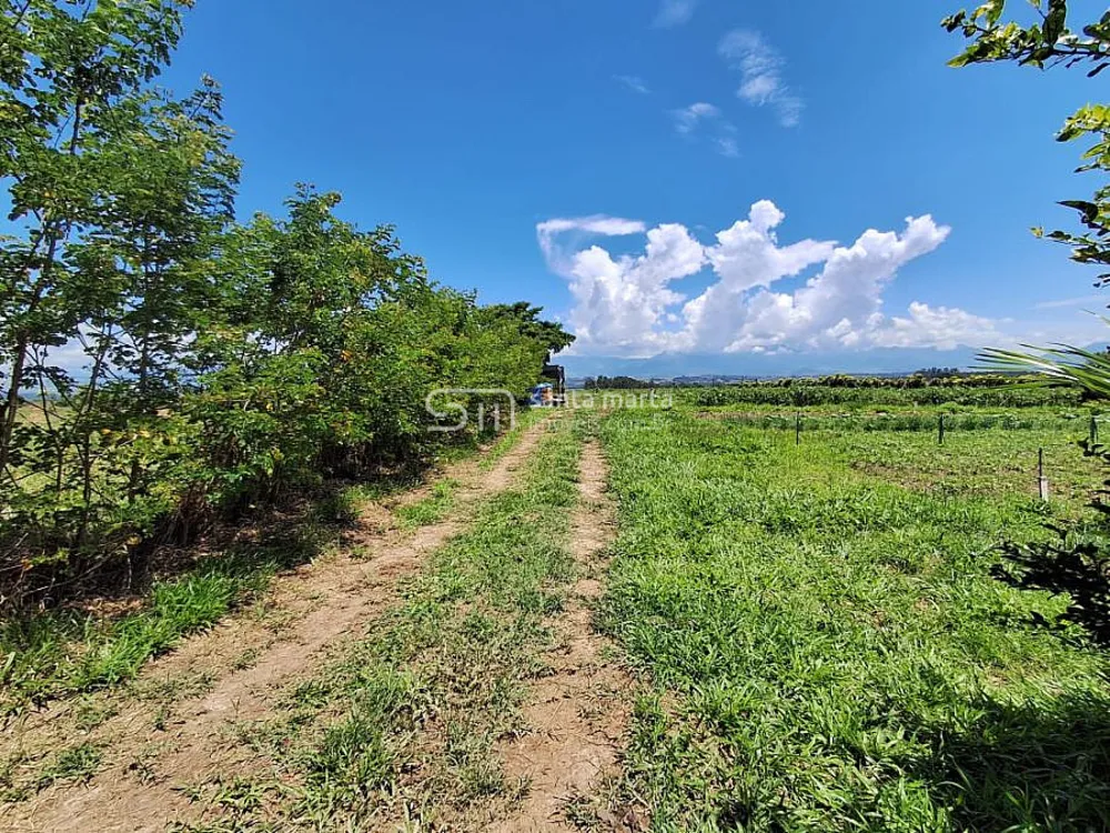 Terreno, 3750 m² - Foto 3