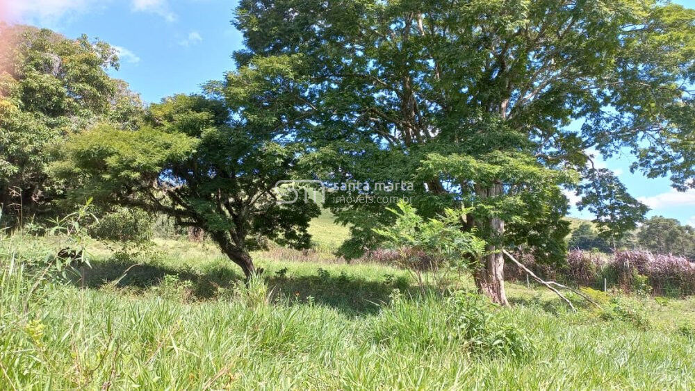 Sítio à venda com 4 quartos, 280m² - Foto 1
