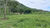 Fazenda, 1113 hectares - Foto 44