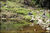 Fazenda, 1113 hectares - Foto 15