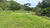 Fazenda, 1113 hectares - Foto 29