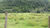 Fazenda, 1113 hectares - Foto 35