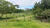 Fazenda, 1113 hectares - Foto 20