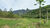 Fazenda, 1113 hectares - Foto 41