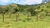 Fazenda, 1113 hectares - Foto 22