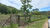 Fazenda, 1113 hectares - Foto 27