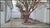 Sobrado, 4 quartos, 24 m² - Foto 2