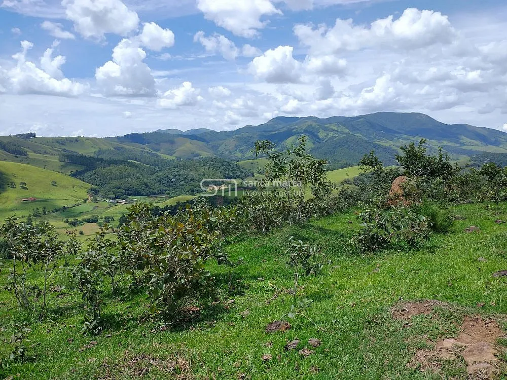 Sítio, 14 hectares - Foto 4