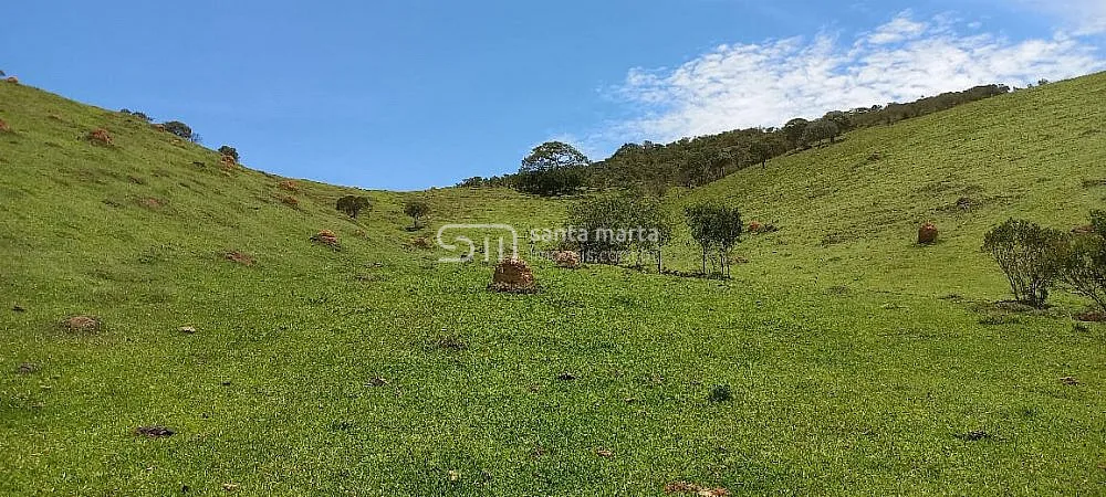 Sítio, 14 hectares - Foto 1