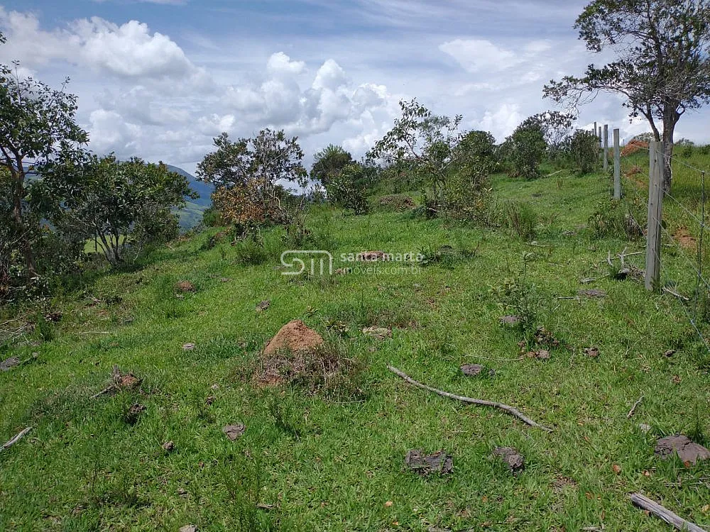 Sítio, 14 hectares - Foto 4