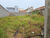 Terreno, 150 m² - Foto 3