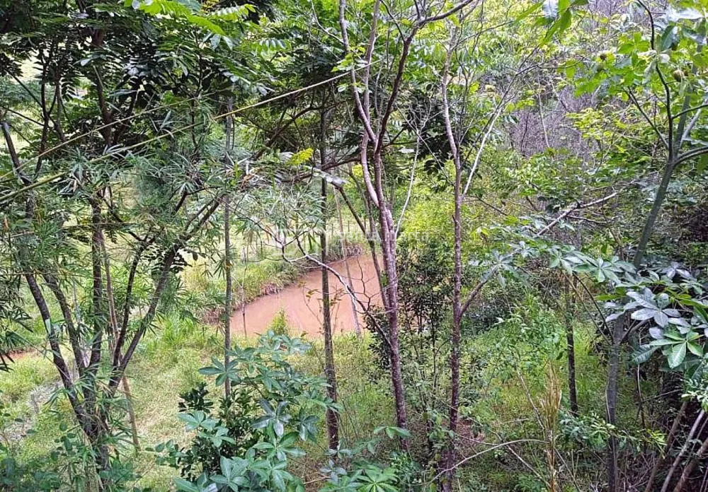 Sítio, 4 quartos, 15 hectares - Foto 3