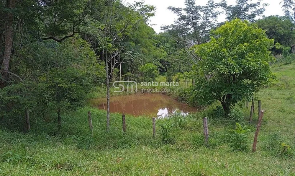 Sítio, 4 quartos, 15 hectares - Foto 1