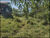 Terreno, 300 m² - Foto 2