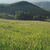 Fazenda, 27 hectares - Foto 1