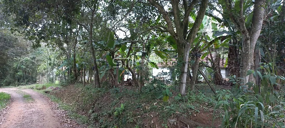 Sítio, 2 quartos, 65 hectares - Foto 2