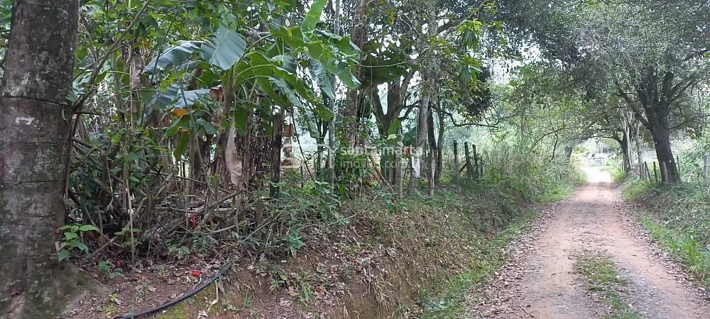Sítio, 2 quartos, 65 hectares - Foto 3